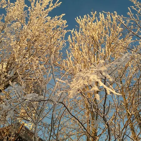 Klosterhotel ホテル Walkenried