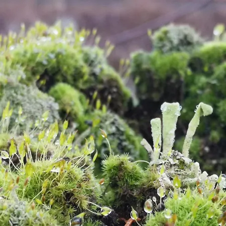 Hotel Klosterhotel 3*