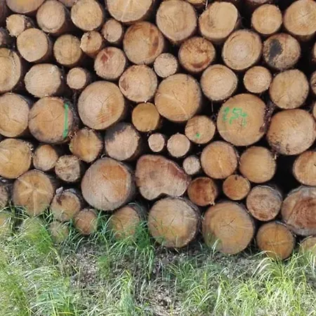 Klosterhotel ホテル