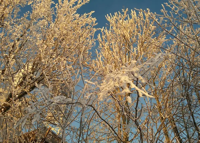 Klosterhotel Hotel Walkenried