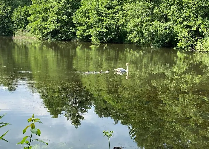 Klosterhotel Hotel 3*